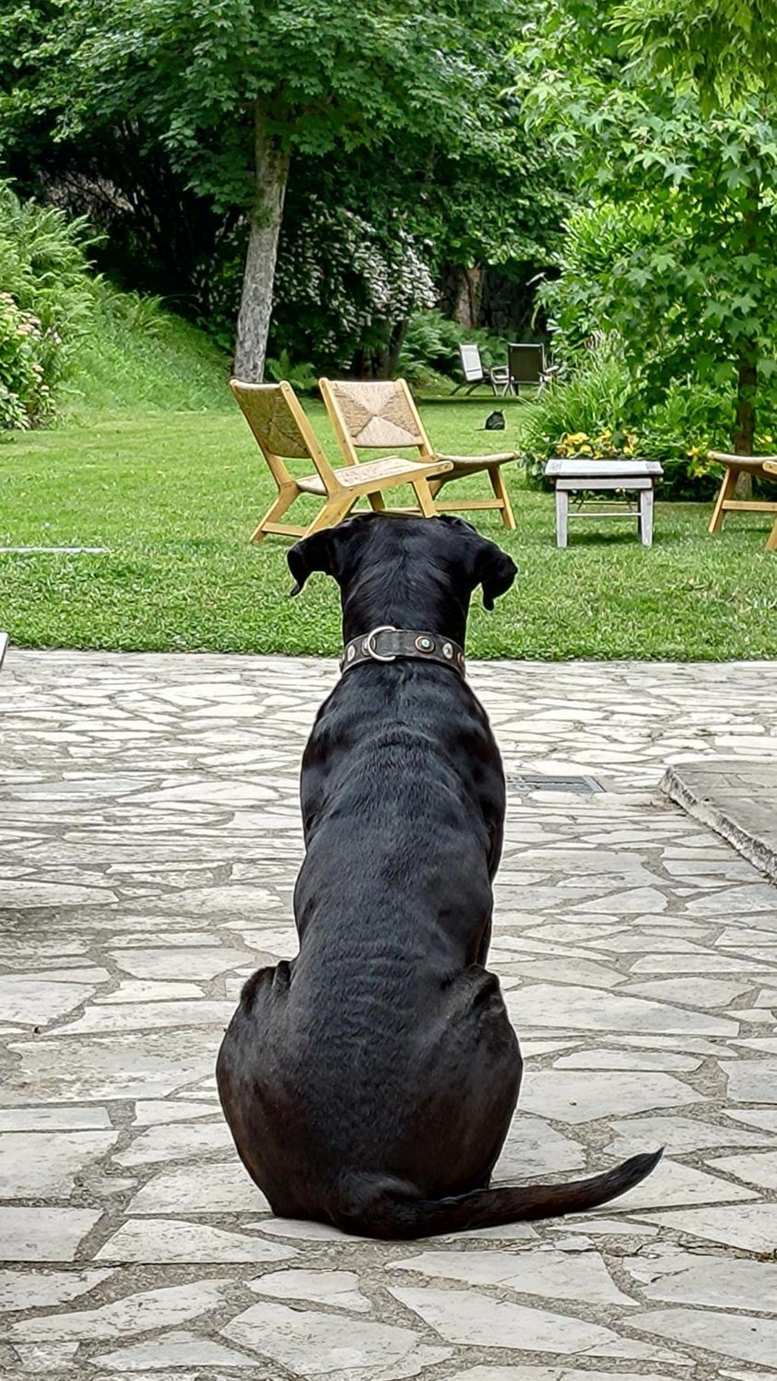 Un Jardin Secret Bed & Breakfast Yzeron Bagian luar foto