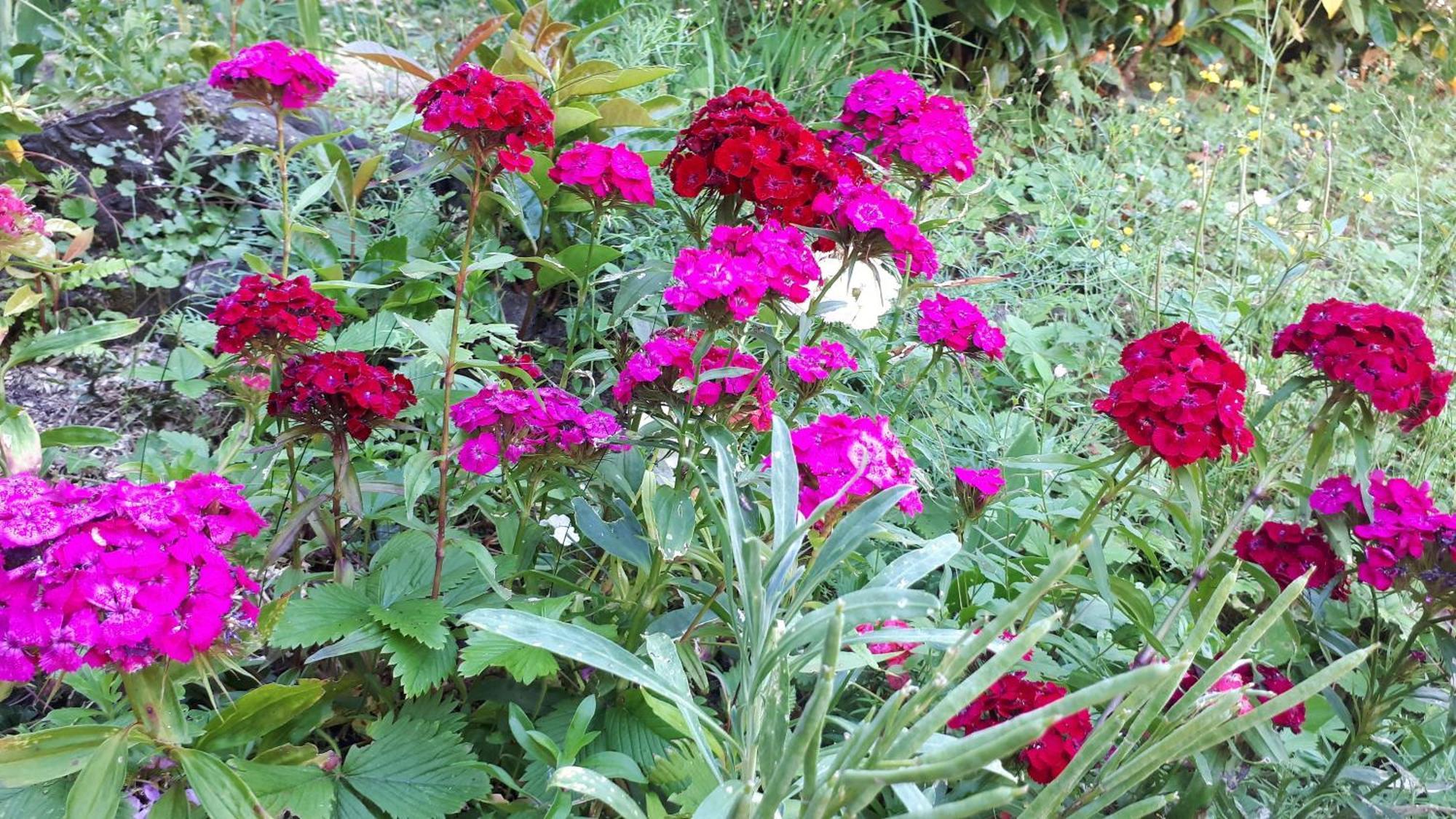 Un Jardin Secret Bed & Breakfast Yzeron Bagian luar foto