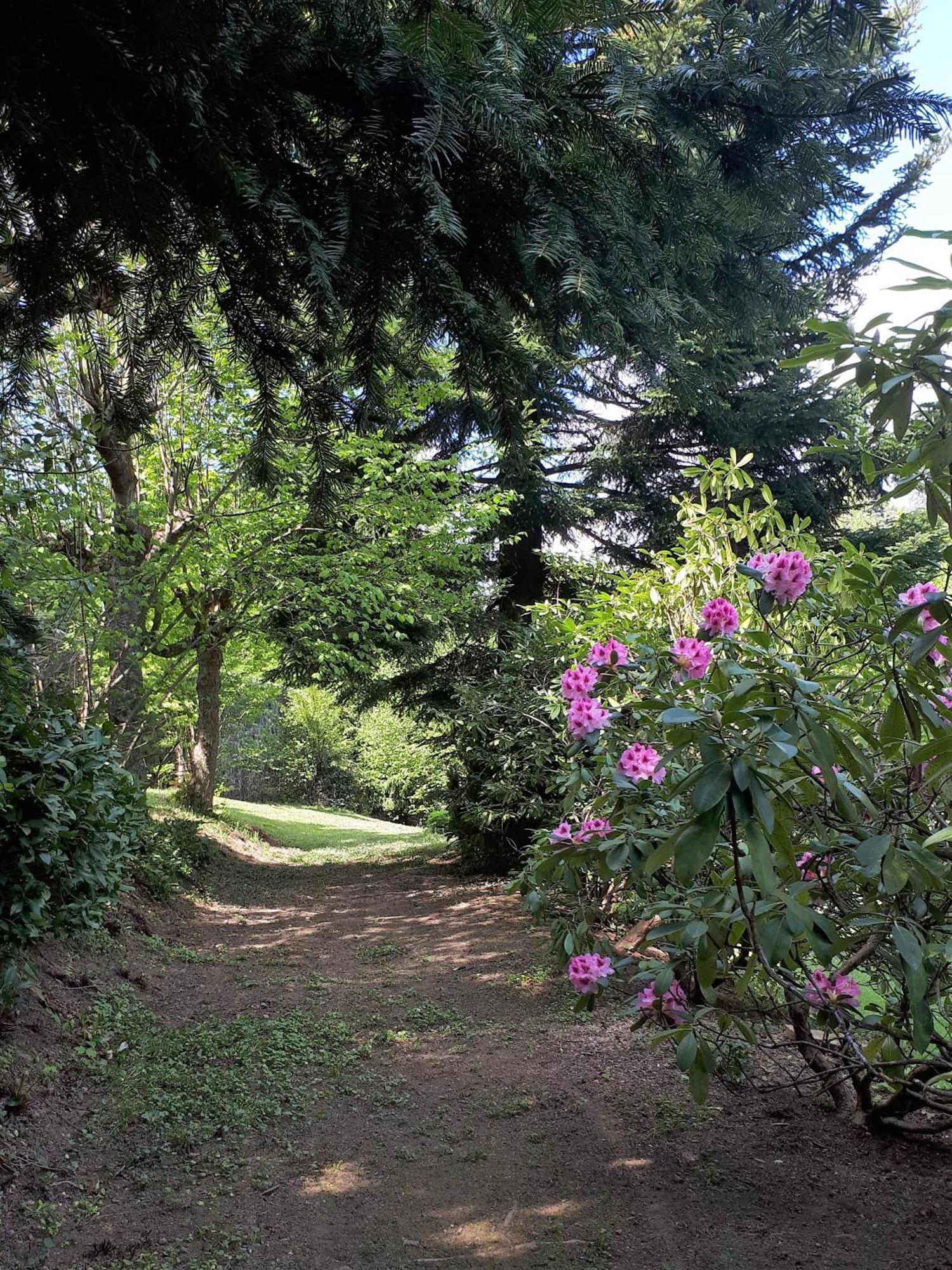 Un Jardin Secret Bed & Breakfast Yzeron Bagian luar foto