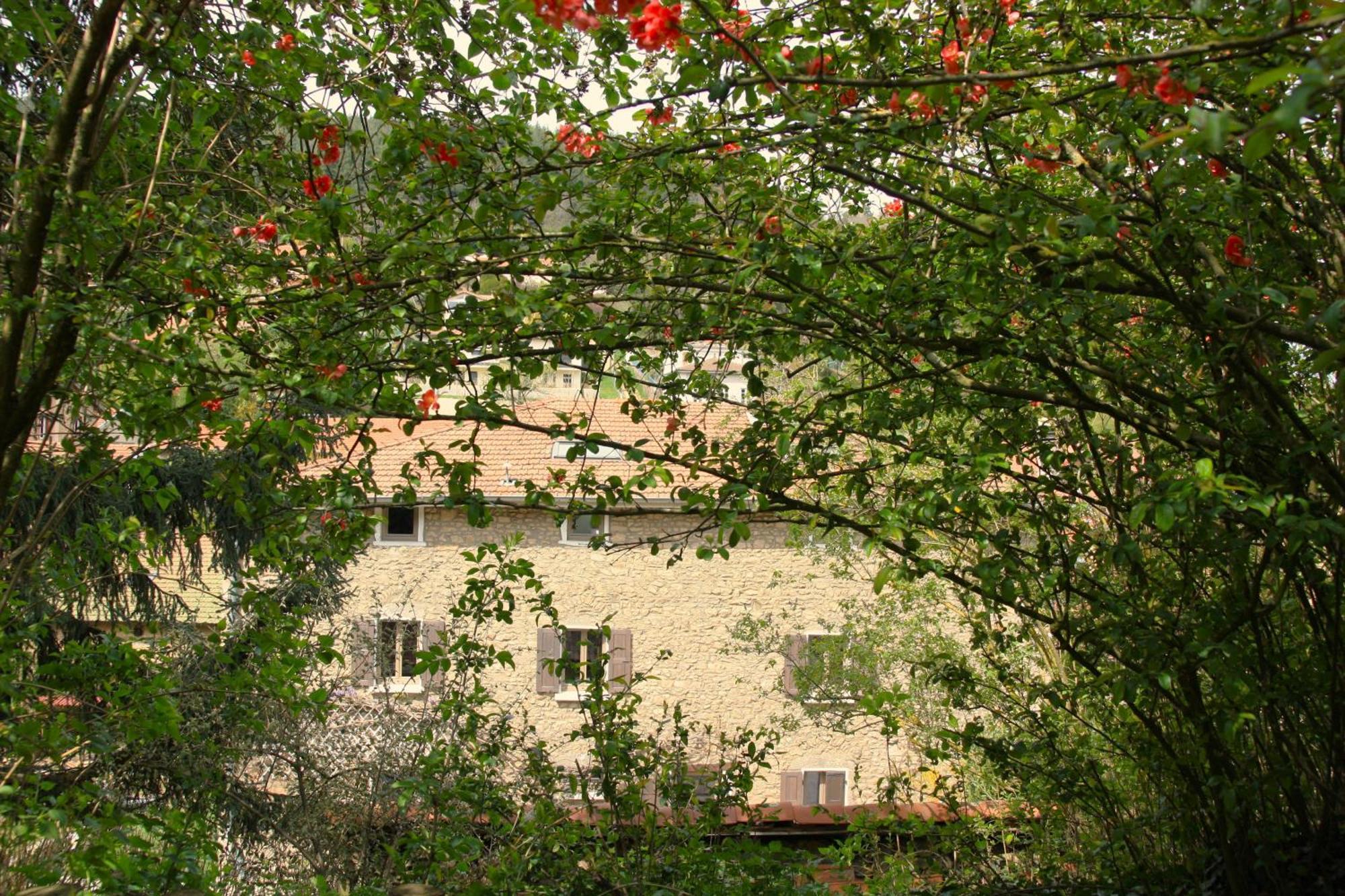 Un Jardin Secret Bed & Breakfast Yzeron Bagian luar foto